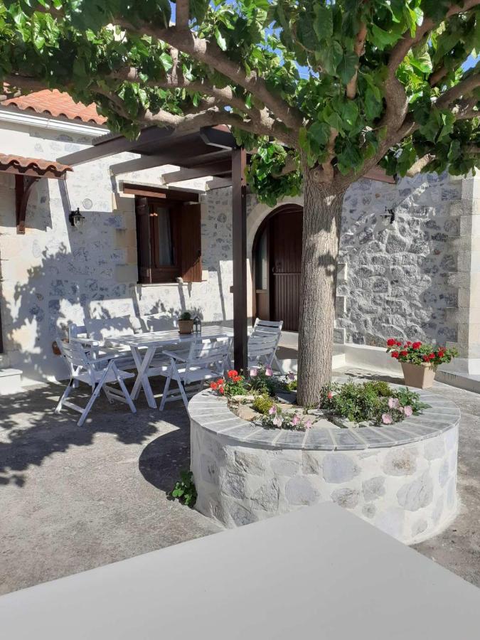 Villa Eternity Αλίκαμπος Εξωτερικό φωτογραφία