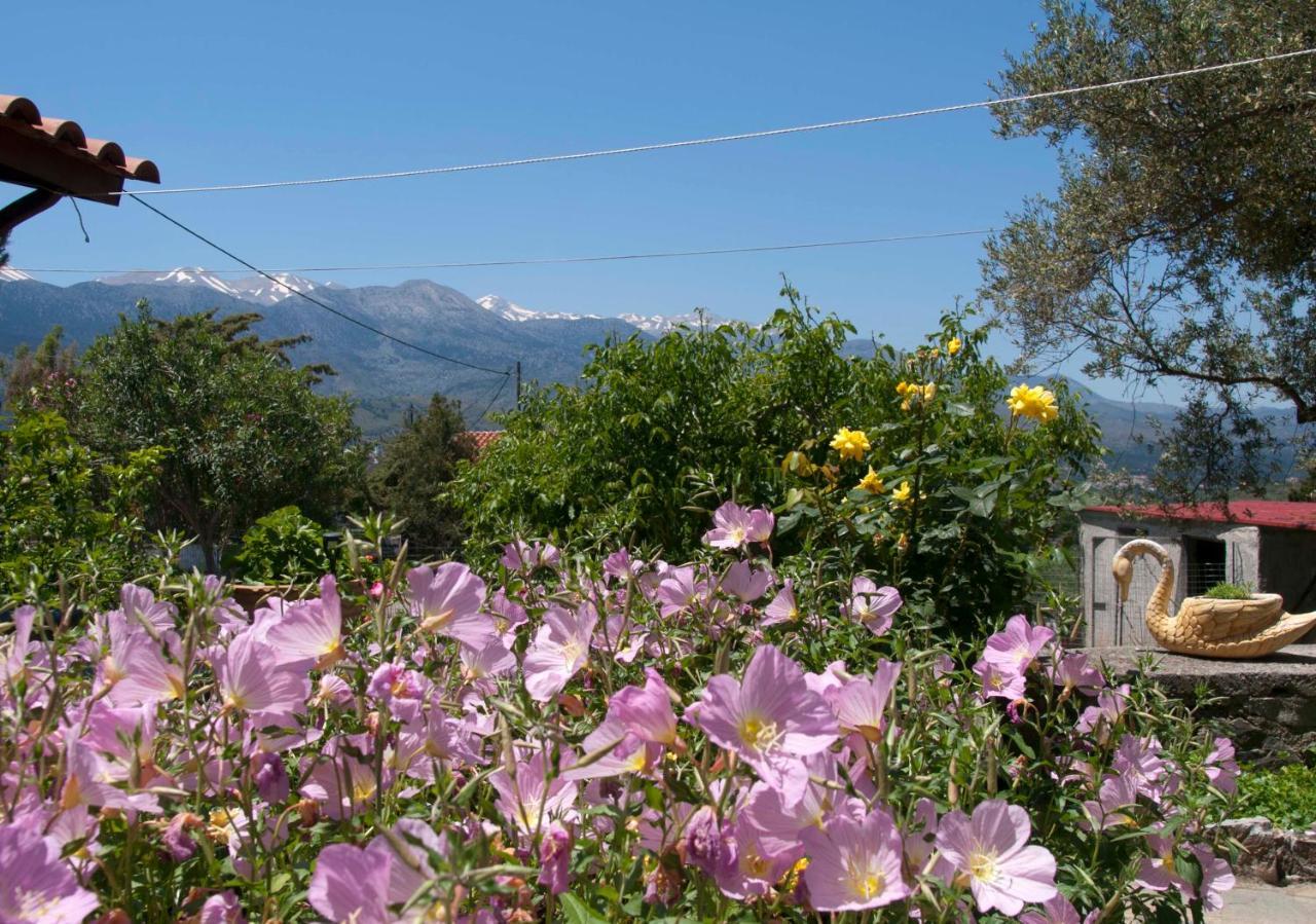 Villa Eternity Αλίκαμπος Εξωτερικό φωτογραφία